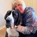 Diane Holm - @ladispy - Instagram