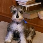 Diane Hamm Hood - @hammdiane - Instagram