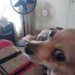 Diane Hood - Facebook
