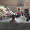 Diane hues - @diane_hues16 - TikTok