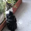 DianeHubert - @user5172573781697 - TikTok