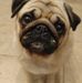 Diane Hurst - Facebook