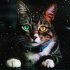 Diane - @diane8800 - TikTok