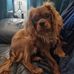 Diane Irving - Facebook