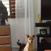 Diane Irving - Facebook
