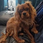 Diane Irving - @dianei68 - Instagram