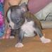 Diane Irving - Facebook
