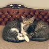 Jack&Diane - @jack_diane2 - TikTok