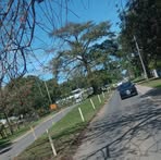 Diane Jacobs - Facebook