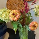 Diane Jacobs - @dianejacobs - Instagram