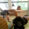 Diane Jacobson - @diane.jacobson7 - TikTok