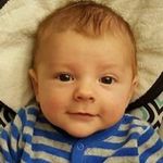 Diane Jacobson - @diane5370 - Instagram