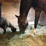 Diane Lehman Jacobson - @jacobson4667 - Instagram