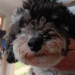 Diane Jarrett - @diane.jarrett61144 - Instagram