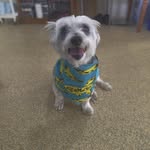 Diane Jorgensen - @dianej1959 - Instagram