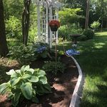 Diane Jorgensen - @djonwheels623 - Instagram