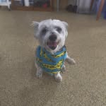Diane Jorgensen - @blazeandme2 - Instagram