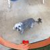 Diane Jorgensen - Facebook