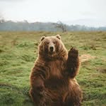 Diane Jorgensen - @galaxy535366 - Instagram