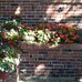 Diane Jorgensen - Facebook