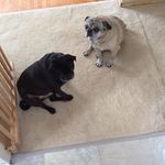 Diane Jorgensen - @dianejorgensen4 - Instagram