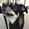 Diane Kang - @31951404449 - TikTok