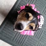 Diane Keys - @keys7580 - Instagram