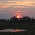 Diane Keys - @dianejkeys - Instagram