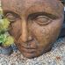 Diane Kimura - Facebook