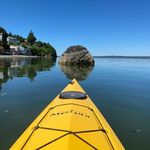 Diane Knutson - @knutsondiane - Instagram