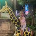Tyna Gog - Facebook