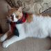 Diane Kopp - Facebook