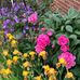 Diane Kopp - Facebook