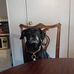 Diane Koppenhaver - Facebook