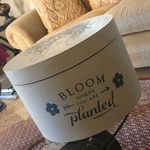 Diane_Kraft - @dieanekraft63 - Instagram