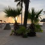 Diane La Cicero-Krasner - @dianekrasner - Instagram