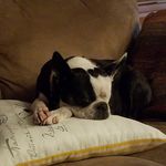 Diane Kratz - @dianekratz - Instagram