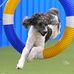 Diane Kroll - Facebook