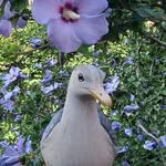 Diane - @skronediane - Instagram