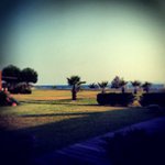 Diane Kurtz - @roheimag - Instagram
