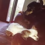 Diane Kyle - @diane.kyle.16 - Instagram