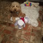 Diane Kyle - @themamaw2 - Instagram
