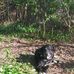 Diane Lacy - Facebook