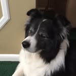 Diane Lang - @dianeflang - Instagram
