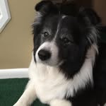 Diane Lang - @diane.lang.37625 - Instagram