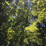 Diane Lang - @dianie76 - Instagram