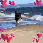Diane Lang - @dianelang4 - Instagram