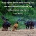 Diane Lang - Facebook
