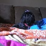 Diane Lapointe - @diane.lapointe.7739 - Instagram