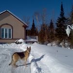 Diane Lapointe - @diane.lapointe.7796 - Instagram